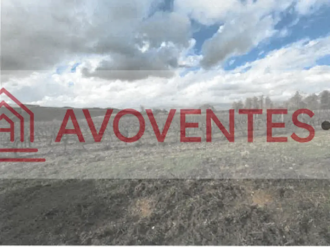Photo du bien : Terrain 105 733 m² à Les Pins (16) – vente aux enchères le 8 décembre 2026